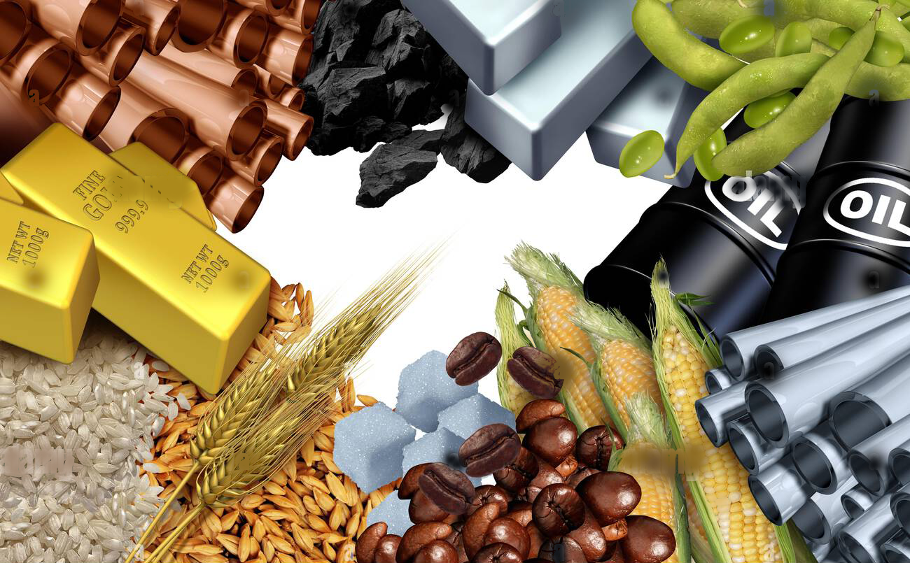 Facilitating Seamless Global Trade